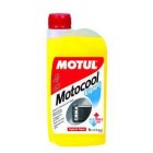 Motocool expert - antifriz 